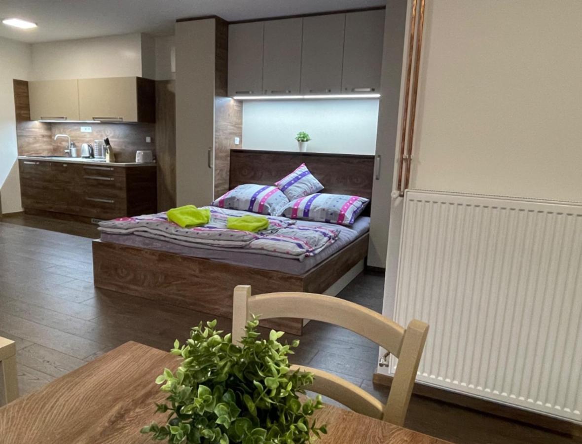 Apartment Wellness Vlckova المظهر الخارجي الصورة